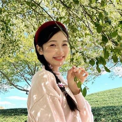 美感游击队